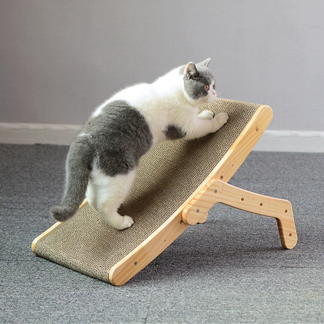 SleepScratch Bett