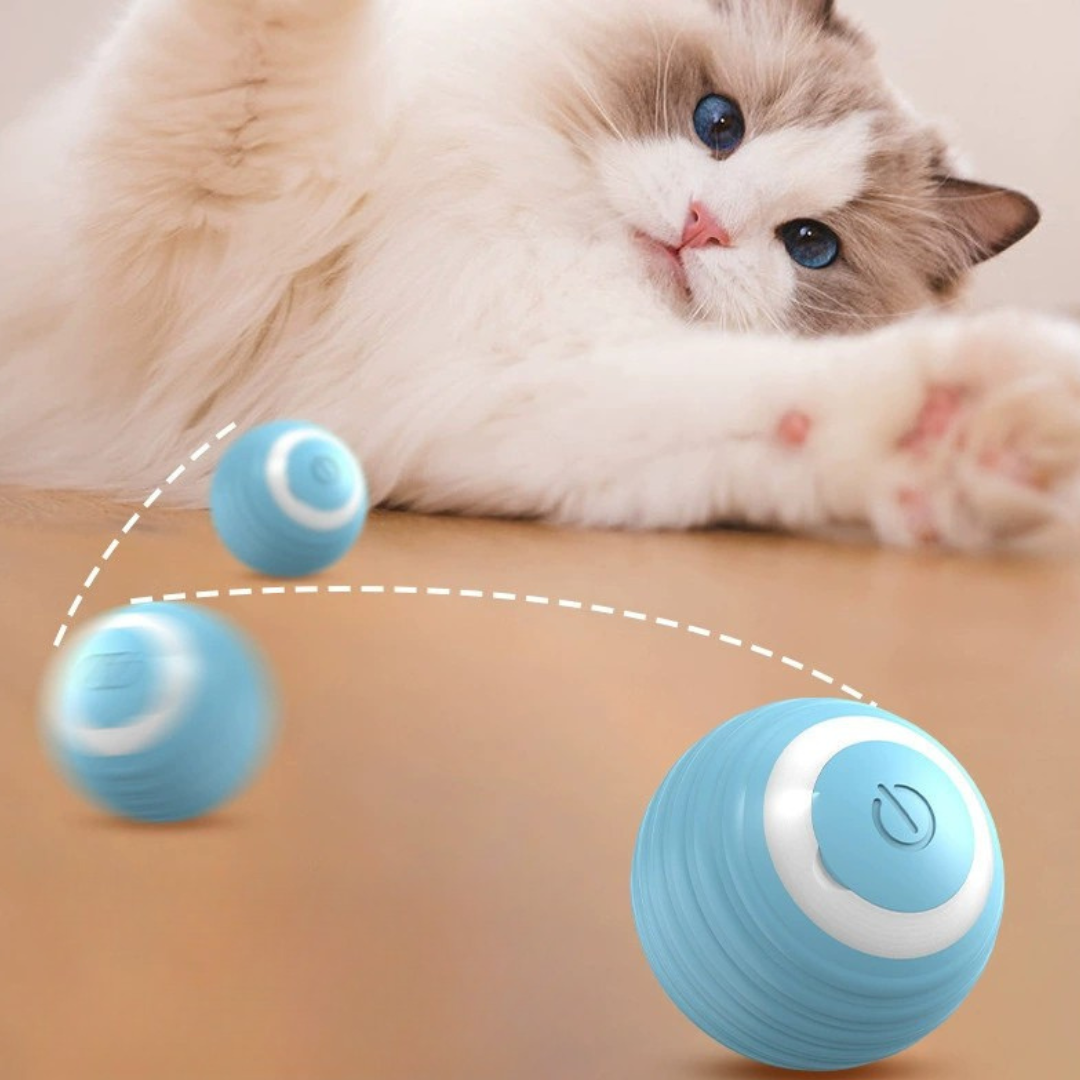 JumpPaws-Ball