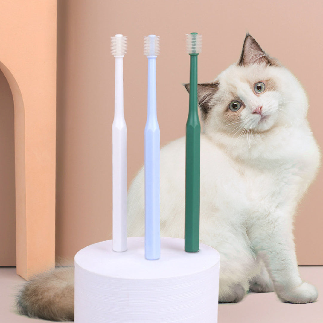 PurrBrush Zahnpflege