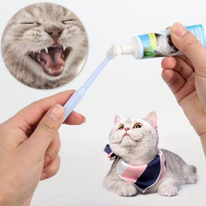 PurrBrush Zahnpflege