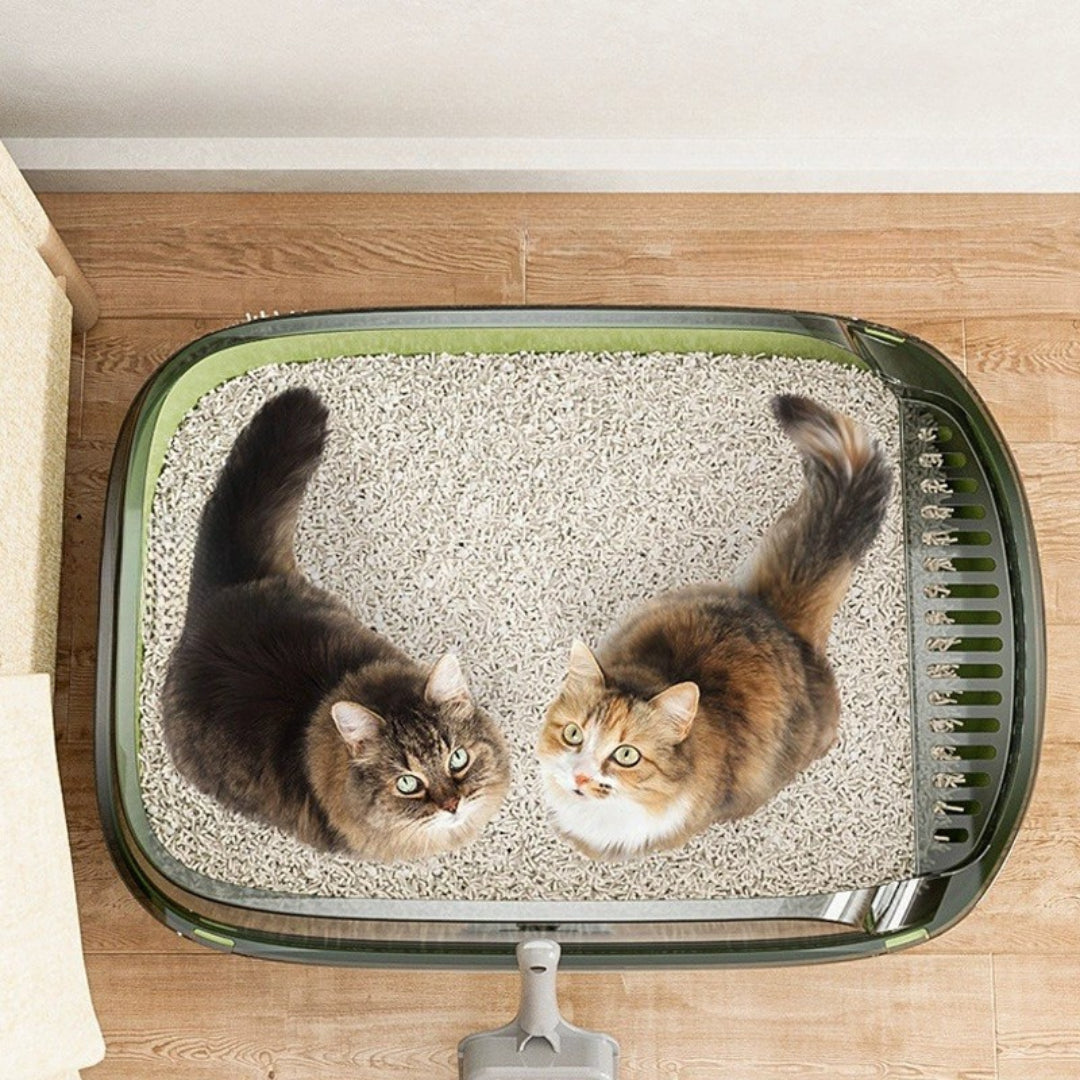 ElevatedPaws-Box