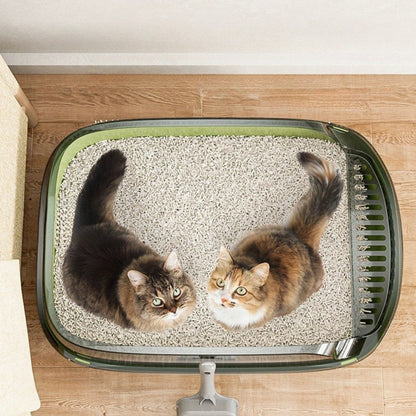 ElevatedPaws-Box
