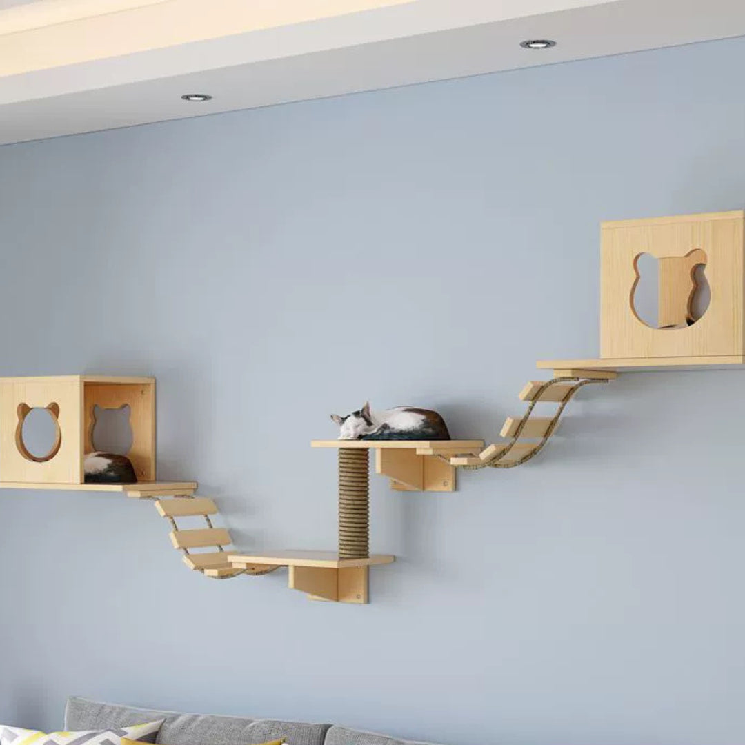 Kletter- und Ruhewand-Set