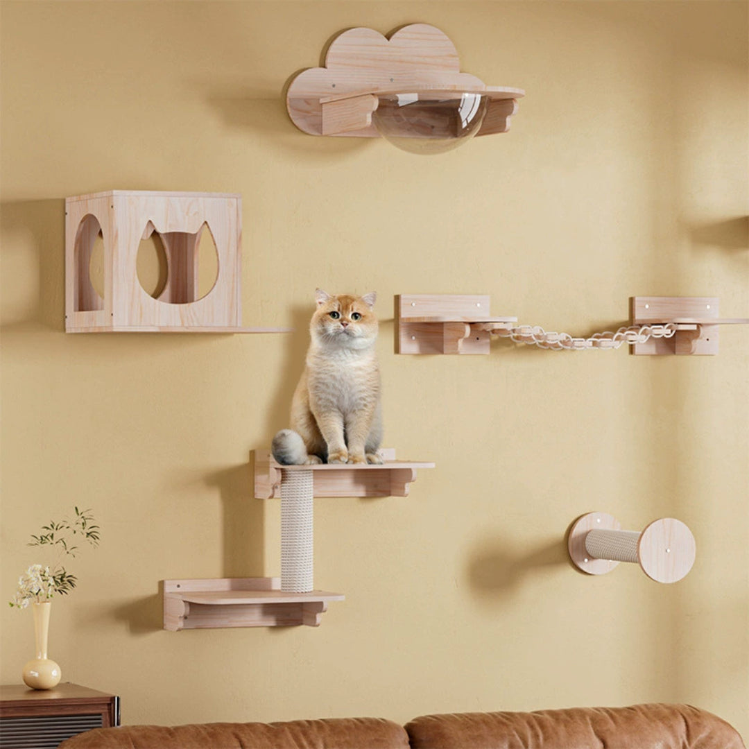 Kletter- und Ruhewand-Set