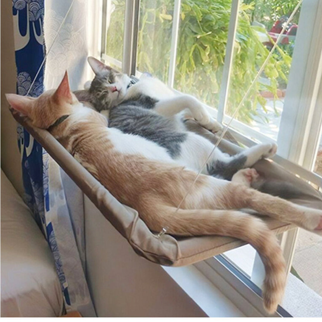 Perfekte Fensterauflage