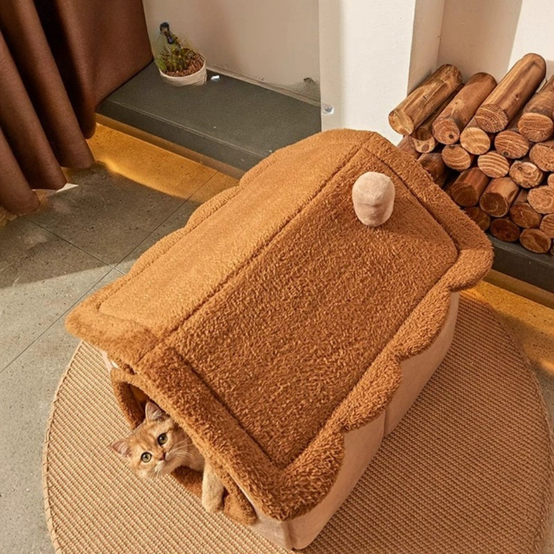 Kuschelbär-Haus