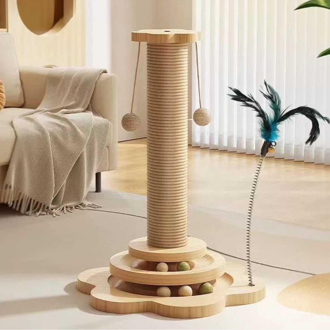 Interaktives ScratchPlay