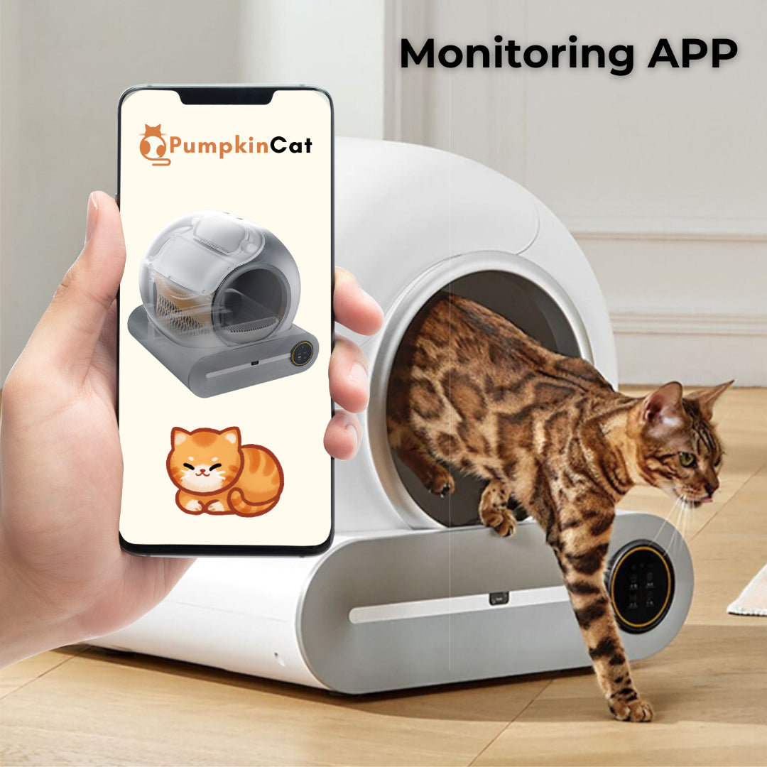 CatGenie Box 2.0 